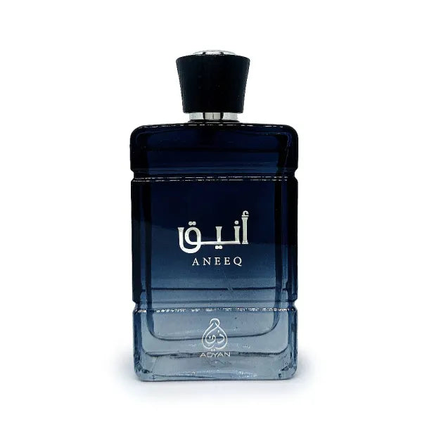 Aneeq Perfume for Men 100 ML EDP by Adyan